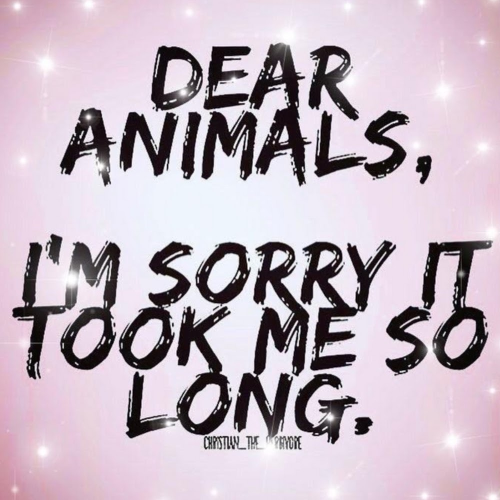 Meet your Posher, Faina